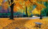 img-gallery