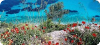 img-gallery