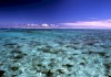 img-gallery