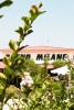 img-gallery
