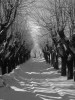 img-gallery