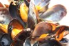 img-gallery