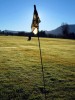 img-gallery