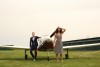 img-gallery