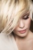 img-gallery