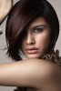 img-gallery