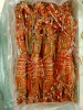 img-gallery